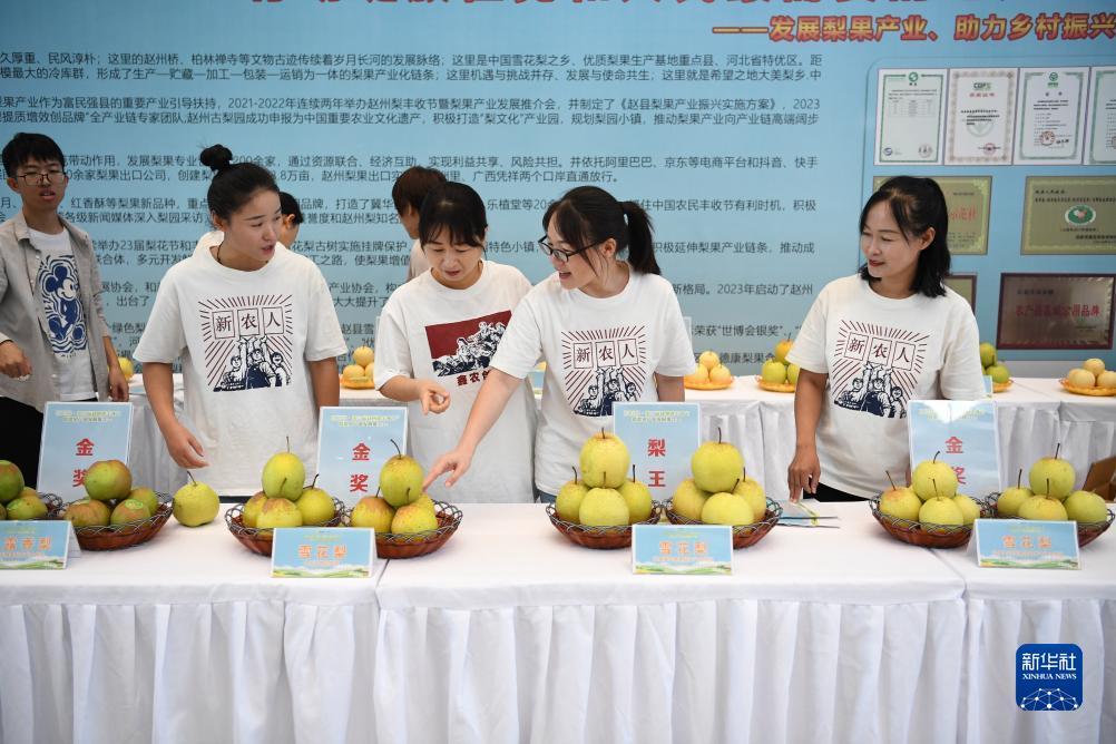 吉祥民粹2019